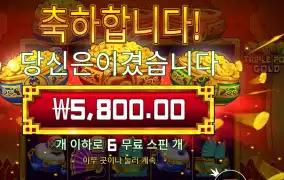 트리플 팟 골드 １６천원 배팅