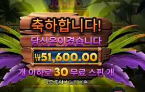 사파리 ２５８배