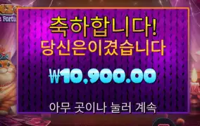 펠라인 포춘스 1콩