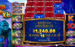 콩고 캐시 15스핀