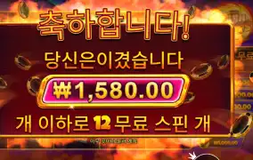 캐시 칩스 12스핀