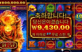 파이어 스탬피드 27스핀