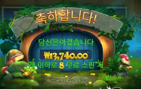 프라그마틱 플레이 팟 오브 포춘