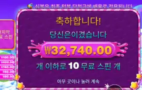 스위트 보난자 1000 후기