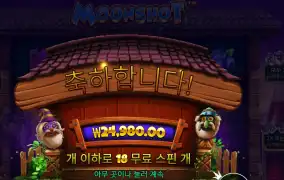 문샷 24천원
