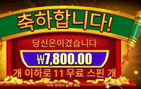 휠 오브 해피니스 11스핀