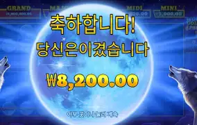 울프 골드 ４ 팩