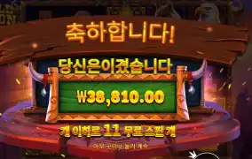 인기슬롯 와일드 바이슨 차지