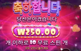 슈가 러시 슈퍼 스캐터 ２콩 배팅