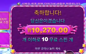 스위트 보난자 1000