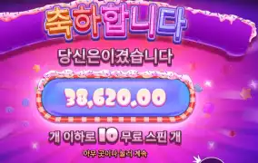 슈가 슈프림 파워넛지 ３８천원