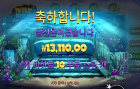 와일드 와일드 펄스 후기