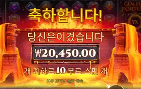 젬 파이어 포춘 2콩