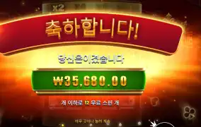 포춘 에이스 35천원