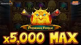 피닉스 포지 x5,000배 맥스윈!! [프라그마틱]