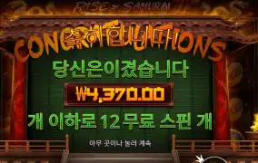 라이즈 오브 사무라이 4 12스핀