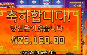 플로팅 드래곤 １３５배