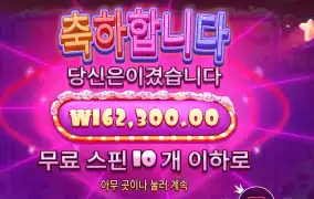 슈가 러시 1000 16콩