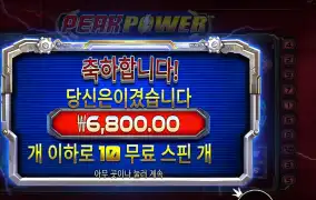 피크 파워 후기