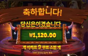 와일드 바이슨 차지 천원