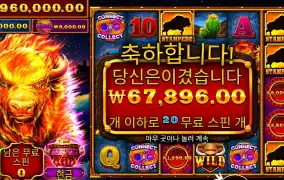 파이어 스탬피드 올티메이트