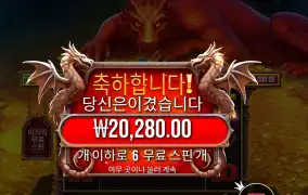 슬리핑 드래곤 １０１배