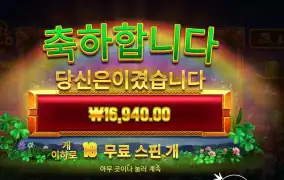 휠 오골드 추가 ４스핀