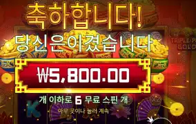 트리플 팟 골드 5천원
