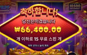 블레이징 와일드 메가웨이즈 332배