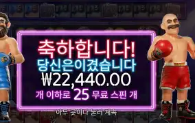 빅 배스 복싱 보너스 라운드 22천원