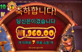 더 도그 하우스 멀티홀드 돌리고