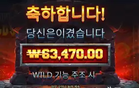 포징 와일드 11콩 배팅