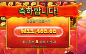 쥬시 후르츠 멀티홀드 ９바퀴