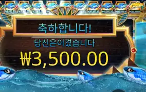 피시 아이 후기