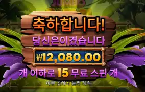 인기슬롯 점포 사파리