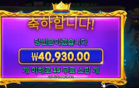 프린세스 슈퍼 스캐터 204배