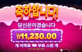 온라인슬롯 스위트 러시 보난자