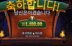 카우보이 코인즈 2콩 배팅