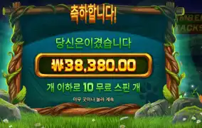 팀버 스택스 191배