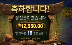 아프리칸 앨리펀트 １２천원