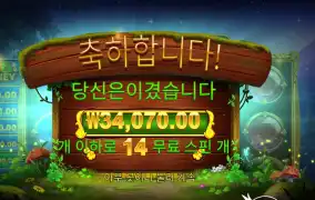 아이리시 크라운 34천원