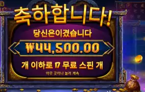 골드 오아시스 223배