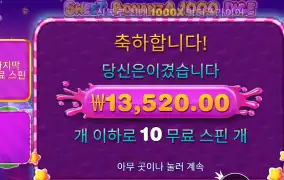 스위트 보난자 １０스핀