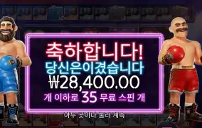 복싱 보너스 라운드 28천원