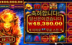 파이어 스탬피드 48천원