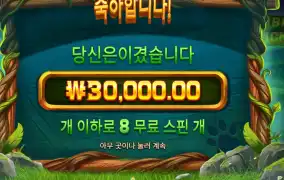 팀버 스택스 ３콩