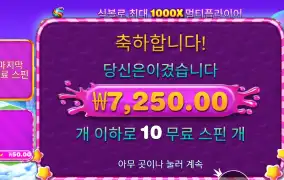 보난자 １０００