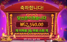 무에르토스 311배