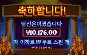 트레저스 오브 오시리스 ３콩 배팅