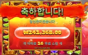 주시 후르츠 멀티홀드 1206배